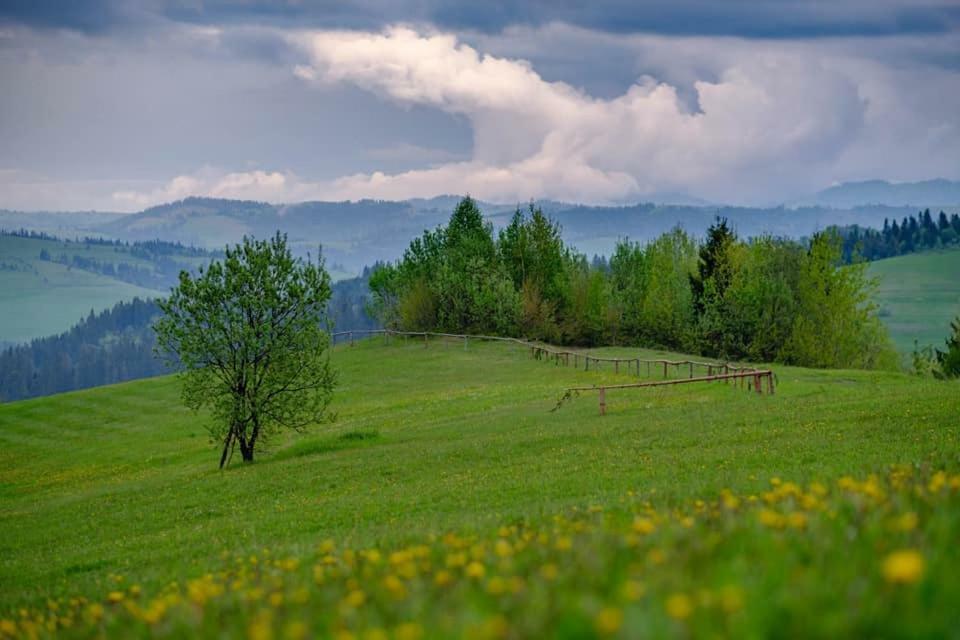 Отель Настоящая Сказка Подобовец Экстерьер фото